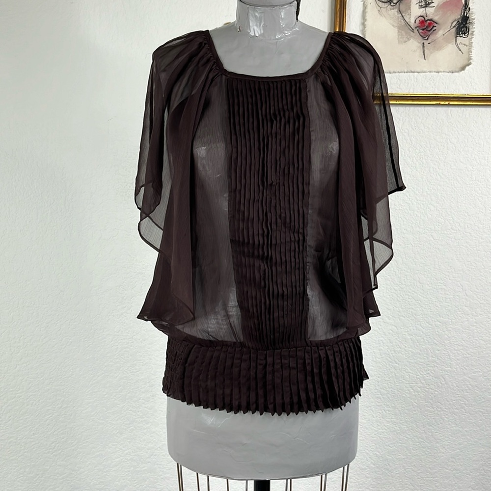 Collective Concepts Sheer Pleated Blouse